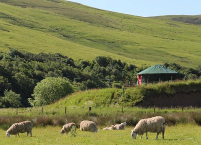 Ettrick Valley Yurts