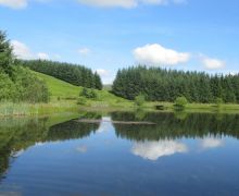 Summer reflections, Ettrick Valley