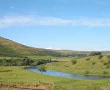 Ettrick Water in Summer