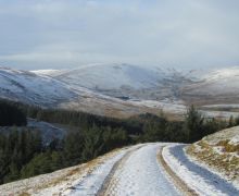 Winter view, Ettrick Valley