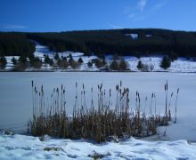 Frozen lochan in winter