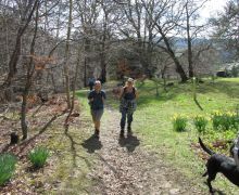 Spring at Broadmeadows, Yarrow Valley