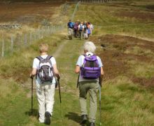 Walking Duchess Drive, Bowhill Estate