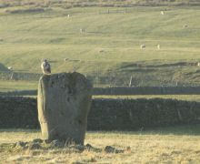 Glebe Stone, Yarrow Valley