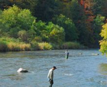 Fishing on the Ettrick