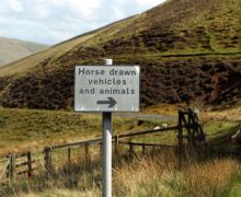 Yarrow Valley