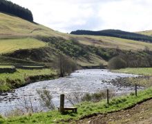 Ettrick Valley 