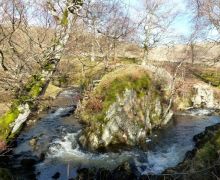 Cossarshill Burn, Upper Ettrick