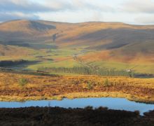 Early morning in Ettrick Valley