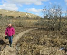 Ettrick Marshes in winter