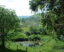 Lochans at Ettrick Marshes