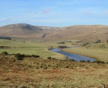 Ettrick Valley, towards Gilmanscleuch