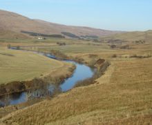 Ettrick Valley 